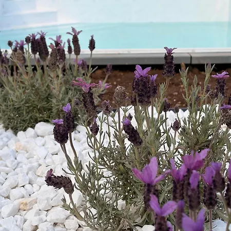 Apartmán Viasol Thassos Skala Rachoni (Thasos)